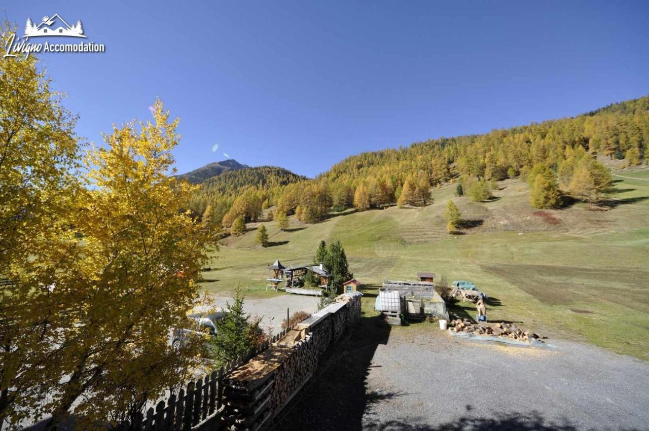 Casa Florin Giumel By Livigno Accomodation Exterior photo